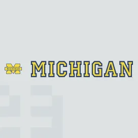 Michigan wolverines 2